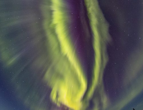 Fantastic Coronal Aurora – Venus Fly Trap Aurora