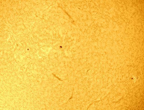 The Sun in Hydrogen Alpha Light on 08-20-2023