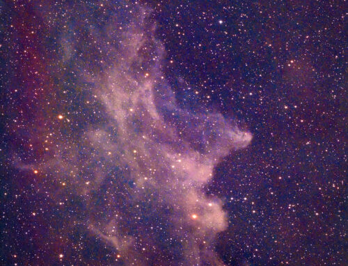 IC 2118 The Witch Head Nebula
