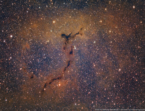 B150-Barnard 150 The Seahorse Dark Nebula