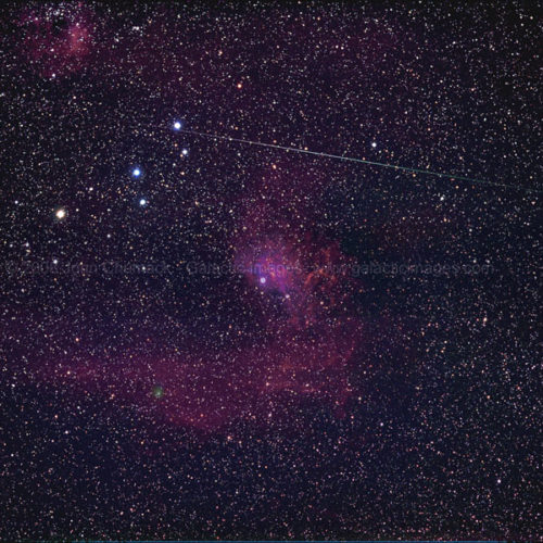 Flaming Star Nebula & Comet 46/P Wirtanen Photos