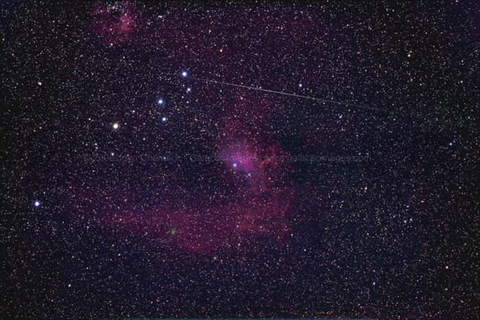 Flaming Star Nebula & Comet 46/P Wirtanen Photos