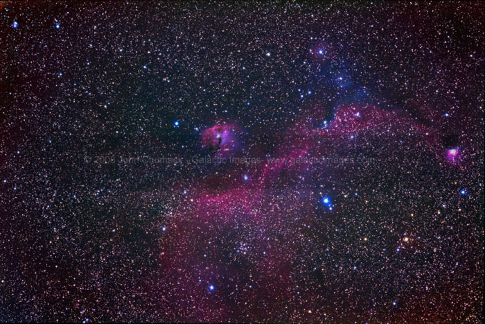 IC2177 The Seagull Nebula Complex Photos