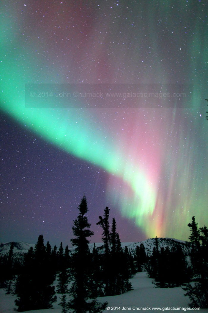 Alaska Aurora Borealis Photo #1730