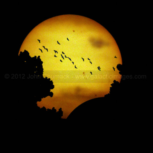Sunset Solar Eclipse Photos & The Birds